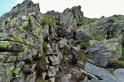 Ritorno sul MONTE VALLETTO con prima salita sul Monte Tribortoi dai Piani dell’Avaro l’8 agosto 2019  - FOTOGALLERY